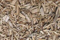 biomass boilers Petteridge