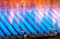 Petteridge gas fired boilers